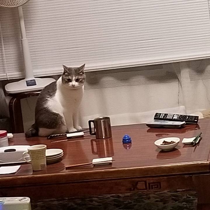 6e12b1e6 6735 4a9e b030 a6aaaee8c5c8 1566563551008