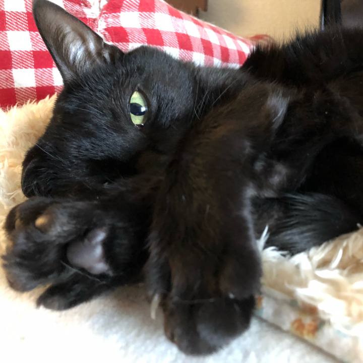 6e132ea8 1949 471c 85c8 b7af9dc6c869 1555106791514