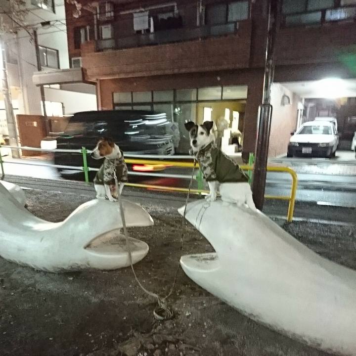 6e133562 9a03 41e4 85ba 53243cadfa1f 1585651796417