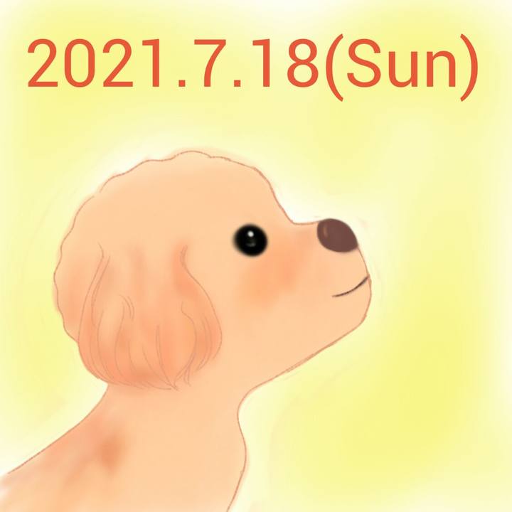 6e134b9b c514 4891 82db 2545327cf125 1626593288782