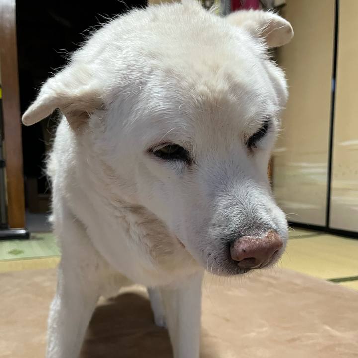 6e135e9e ec97 4387 b56f 8961bf71b4c7 1768865279539