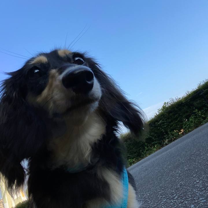 6e1383ba ee97 4963 ab76 d3c675071764 1689164199999