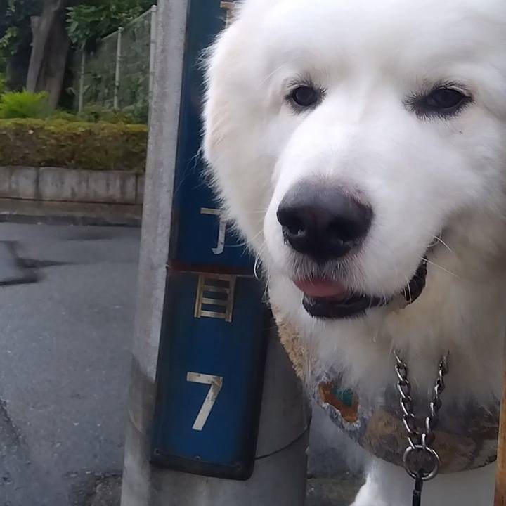 6e139801 d452 4de4 b9f9 1ae4b112970c 1687385582115