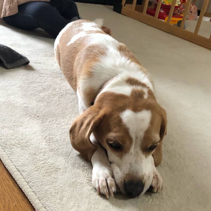 6e1408bb d479 4052 9d7b 5c1583f20398 1661646190835