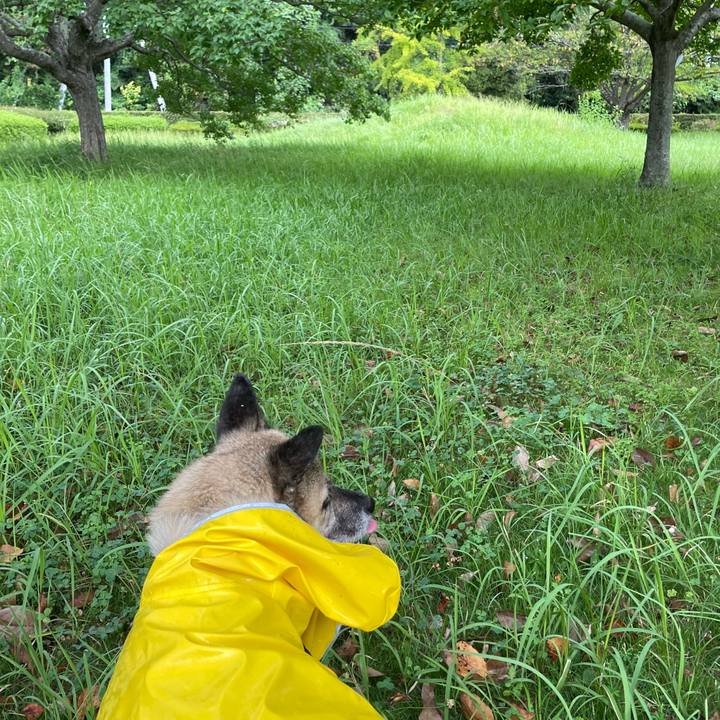 6e141a6c 2f70 4688 987f 3633023a8e9c 1726913337105