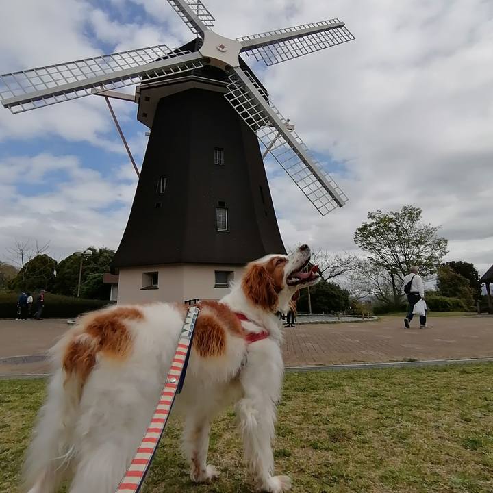 6e142656 ab2e 42c2 97c7 35b739d49a9d 1617427834323