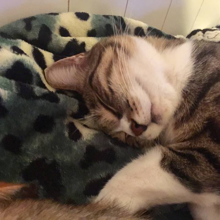 6e145bb9 57df 4d32 b35f f56ca1a5c6b9 1575895070869