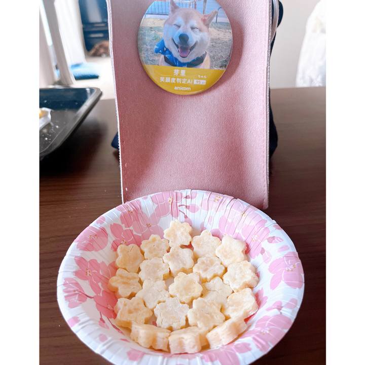 6e14713d 04a4 4c68 bbbe c95f2c537a9c 1715324582665