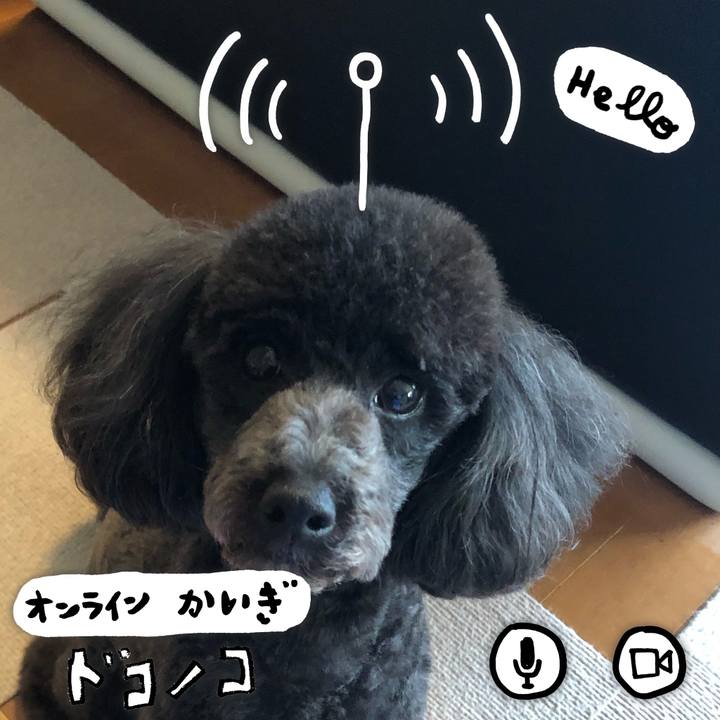 6e147f14 0601 41bb 968e f8a44048a8a7 1591492974856