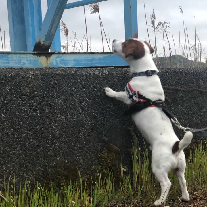 6e14b01f 5b24 410c 9977 a5c72de98c5d 1556500262221