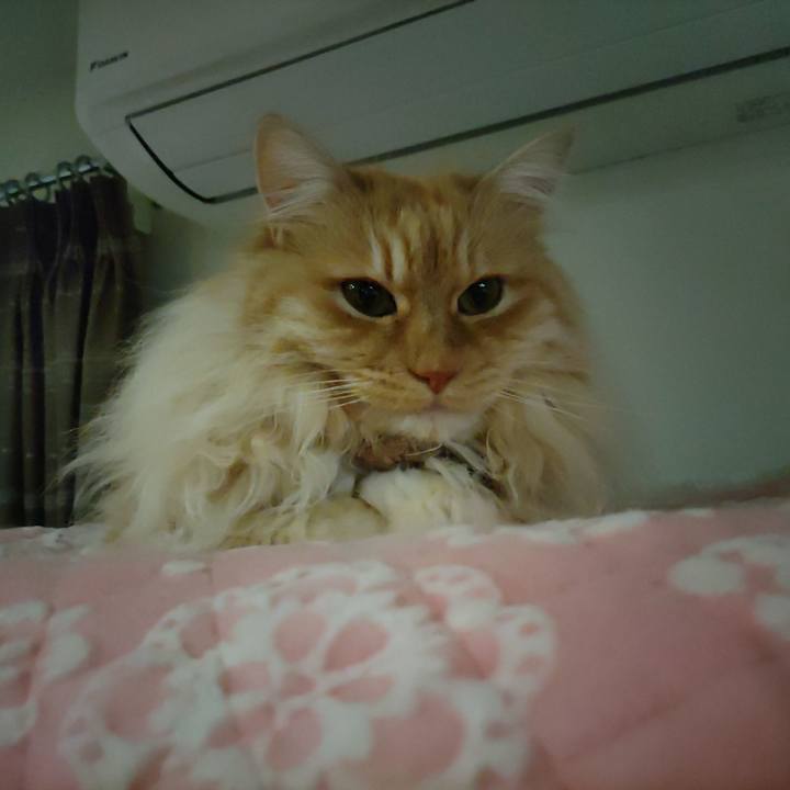 6e14d68a 9a6f 4e0d 8381 550a5117ecd5 1713590467955