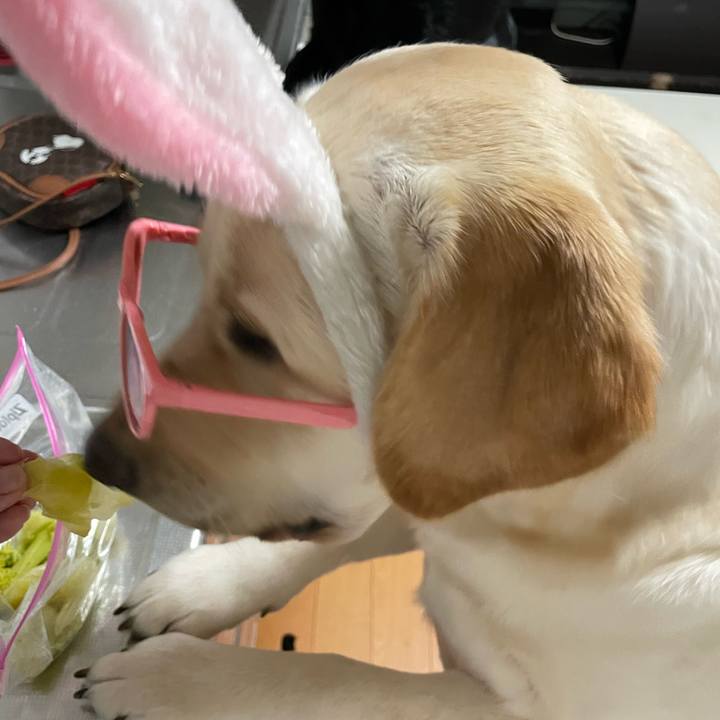 6e14dc27 1c99 49b9 99e0 3cfac84b333f 1649491067660