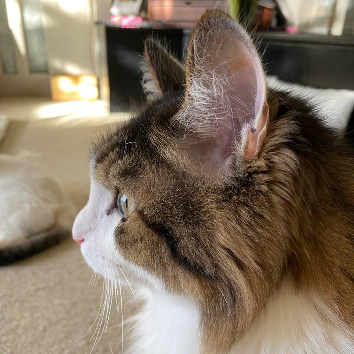 6e151856 627c 4861 b497 b0e68fb53c3e 1673309660108