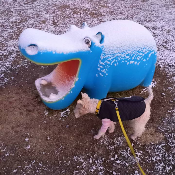 6e153c08 c7dd 442e 8dc0 9d3a73ceaaa0 1640558933846