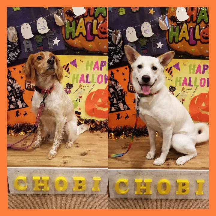 6e15591a bf9e 48a9 b659 62c0d8c77c61 1571879281109