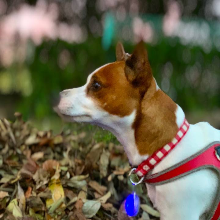 6e156b69 91d0 4c5f bfca e8d2f919ff7e 1539335046952