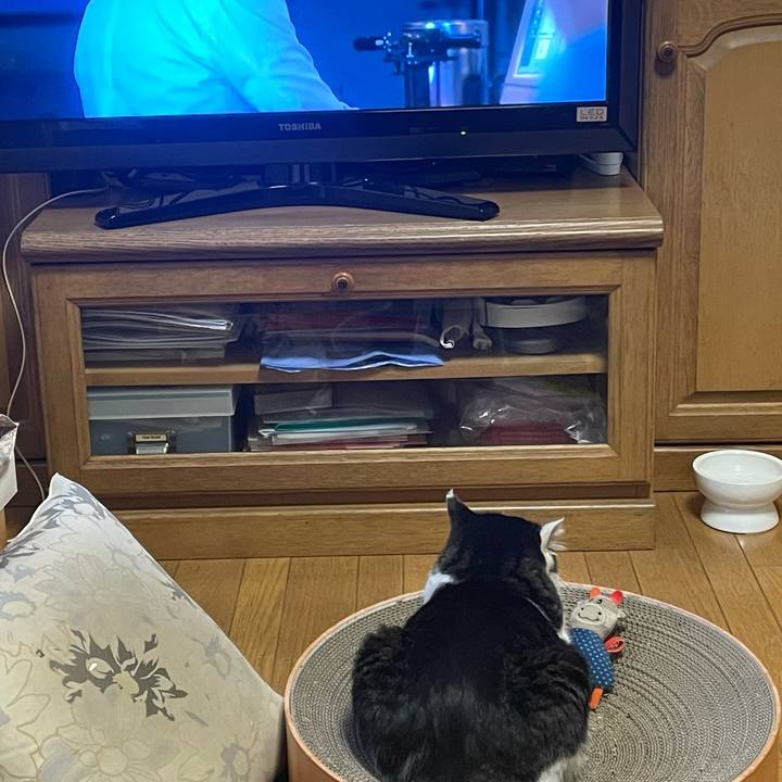 6e15709d 7f21 4dc1 9d63 a2b9f954b550 1736671154504