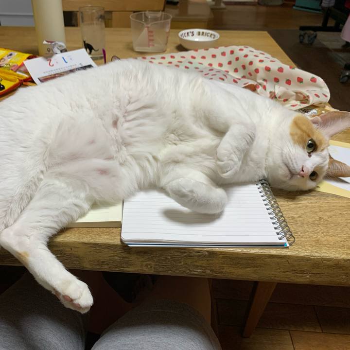 6e157213 99b3 44d4 9beb 9b669f9fbe50 1621458736781