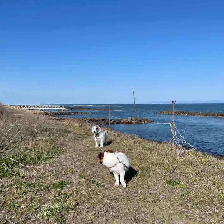 6e157b5f 5f0b 48bd b5f5 13bf6fba4340 1682208578231