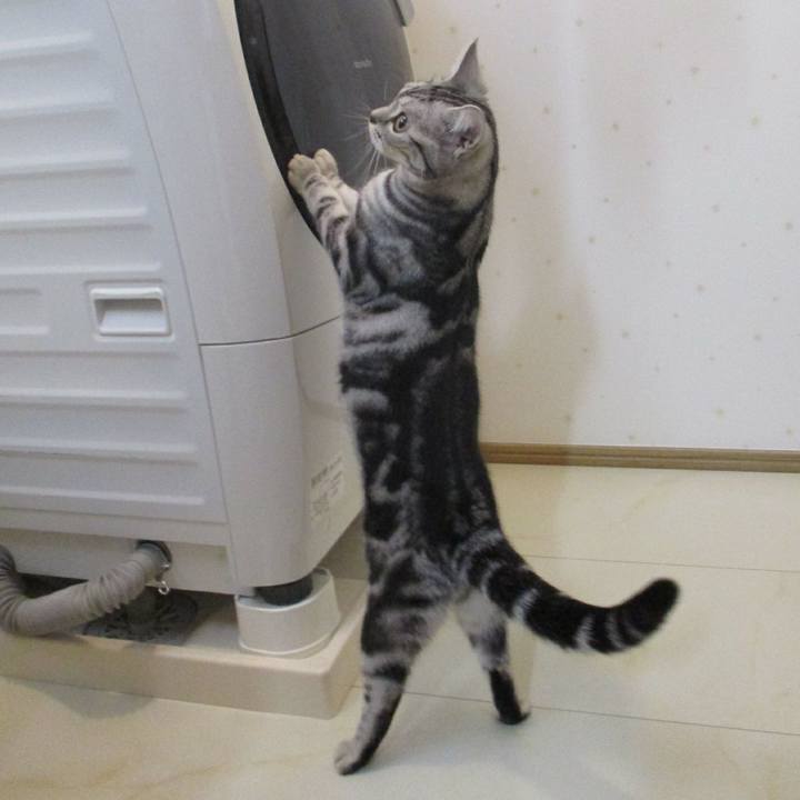 6e15ad34 29b1 4f35 85a7 4efecf27d225 1555225467289