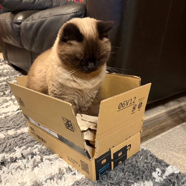 6e15c5ea 1ef0 4a10 9812 27ff5f5cc6a2 1762257094027