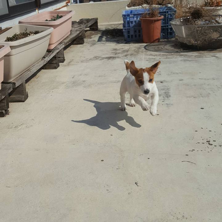 6e15e40a 964c 4e95 b895 3e3890ab240a 1550380857466