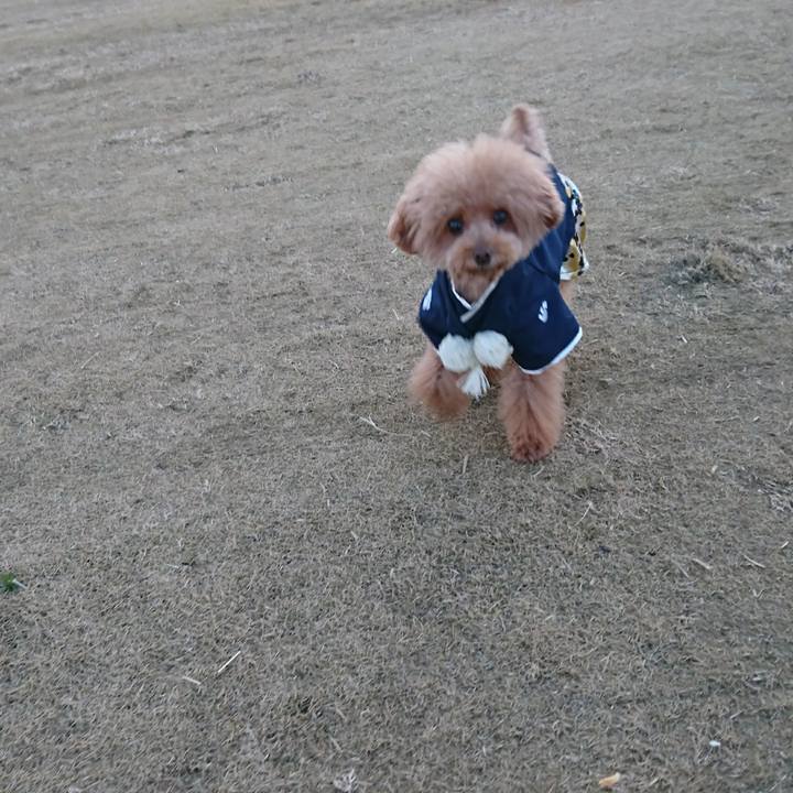 6e15ea30 fc27 4cc8 93c9 06486e4814c4 1516010158594