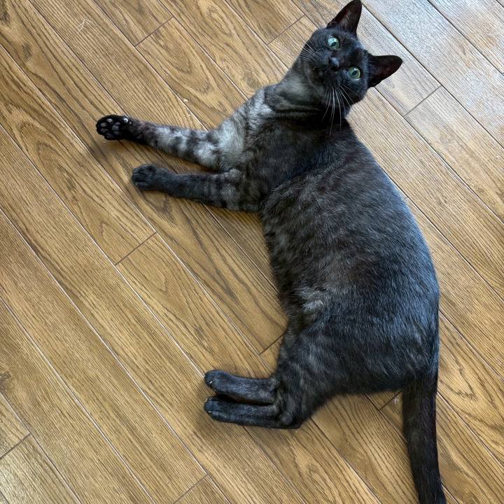 6e15efad 25a5 4905 98ac 0f2129b8420c 1750411766131