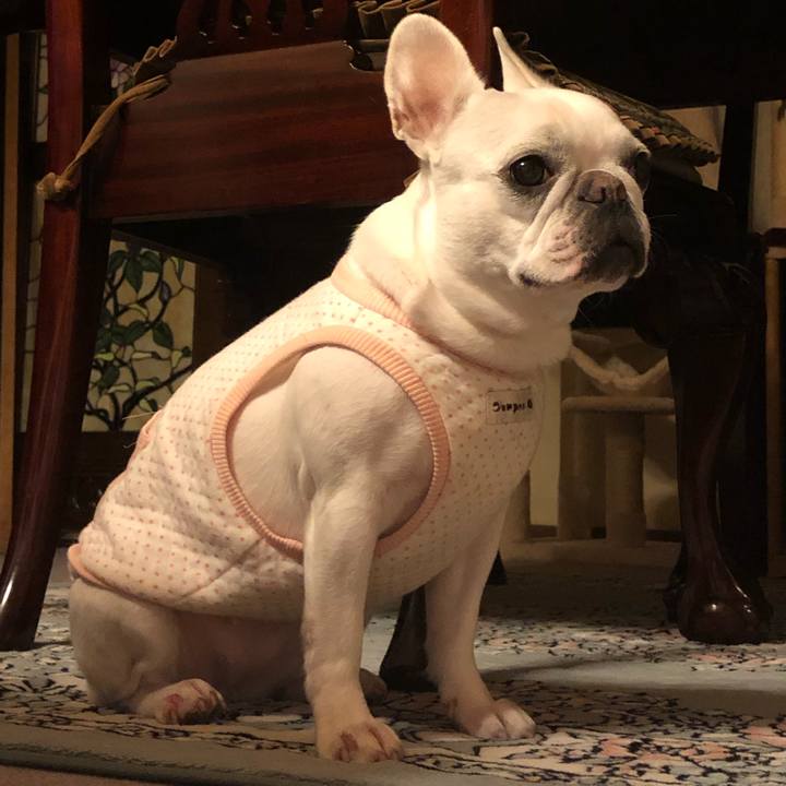 6e162470 fa99 4870 b57a 08be09ec71da 1554379970569