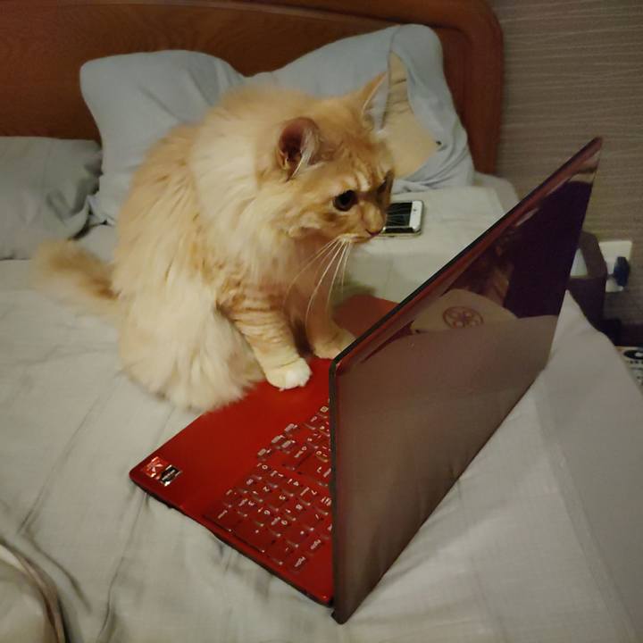 6e16367a 22f4 4700 b8bf 78336cf59e58 1653133230910