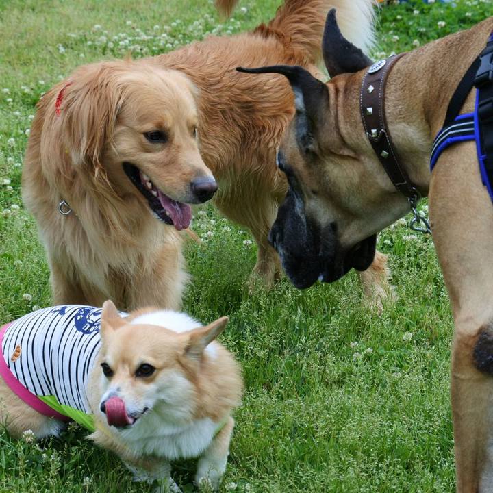 6e16febb 6d0f 40fd ba8e e390700bd81b 1560076677514