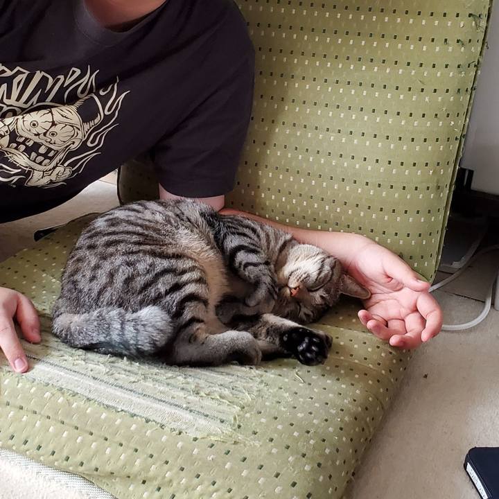 6e175740 26d8 4f78 af35 8f4f8a3983c0 1702469517665