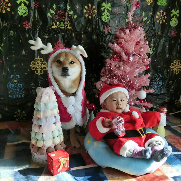 6e177677 28b3 404e a46c 3195e6efa2ee 1543901695580