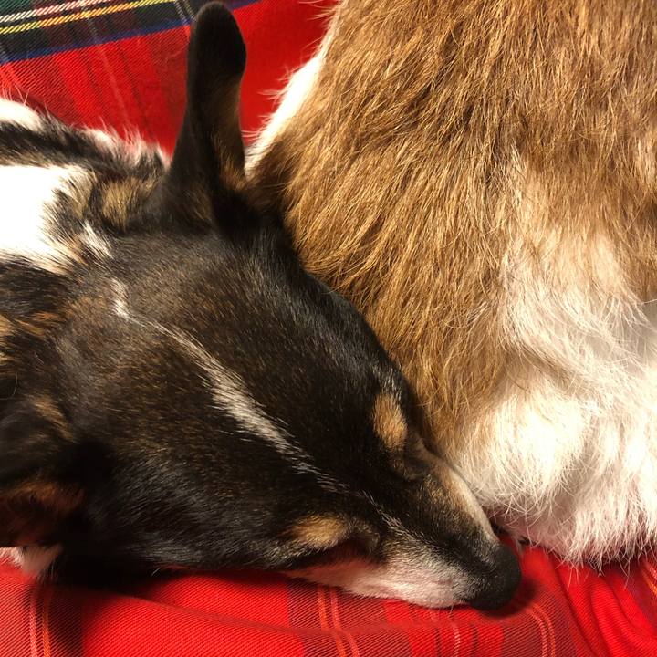 6e1788bd 2766 4688 b195 ce7622a18897 1585389234128