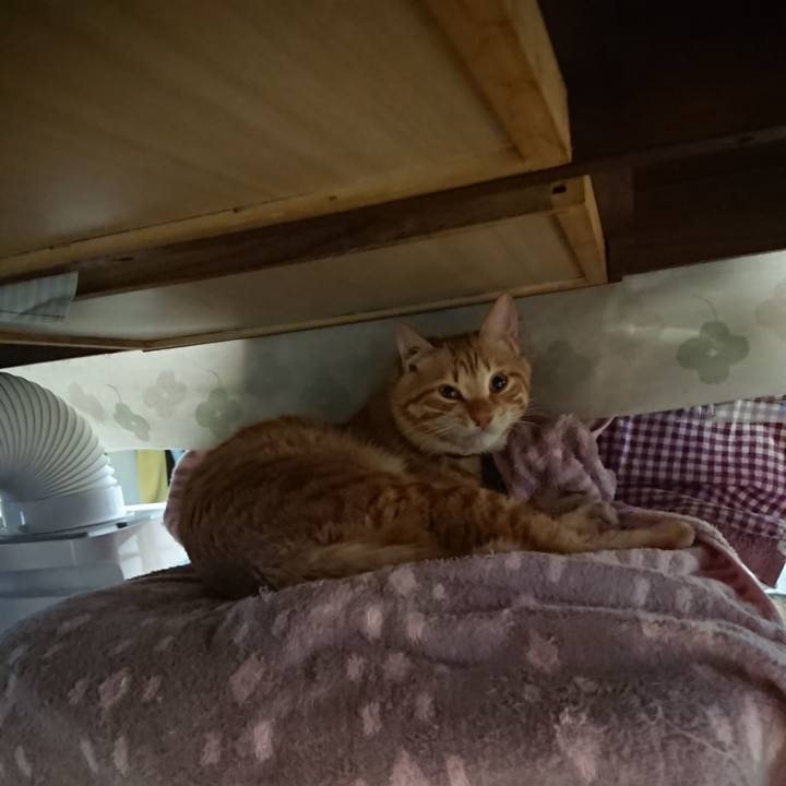 6e179494 5447 4a47 ab4e db477905b764 1642975840789