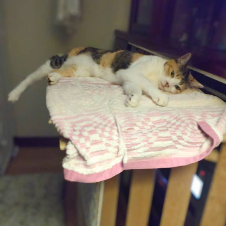 6e179912 0708 417f b3e6 327b2ff90235 1726921988275