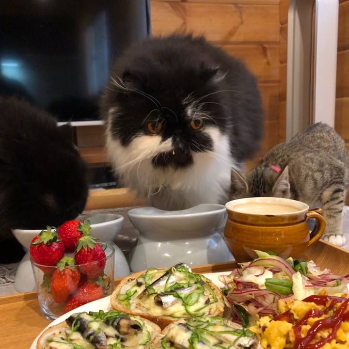 6e1833e2 f62b 4355 9e67 f8d1b796c886 1549854050133