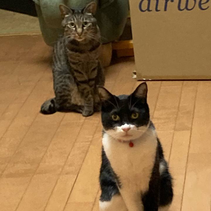 6e1844ec a017 47a3 93fa a9654de4ef73 1647400581432