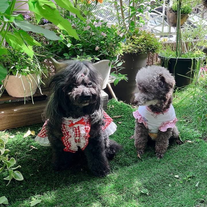 6e189be8 4562 4a5e 95ce ecdf202ba69c 1747645471258