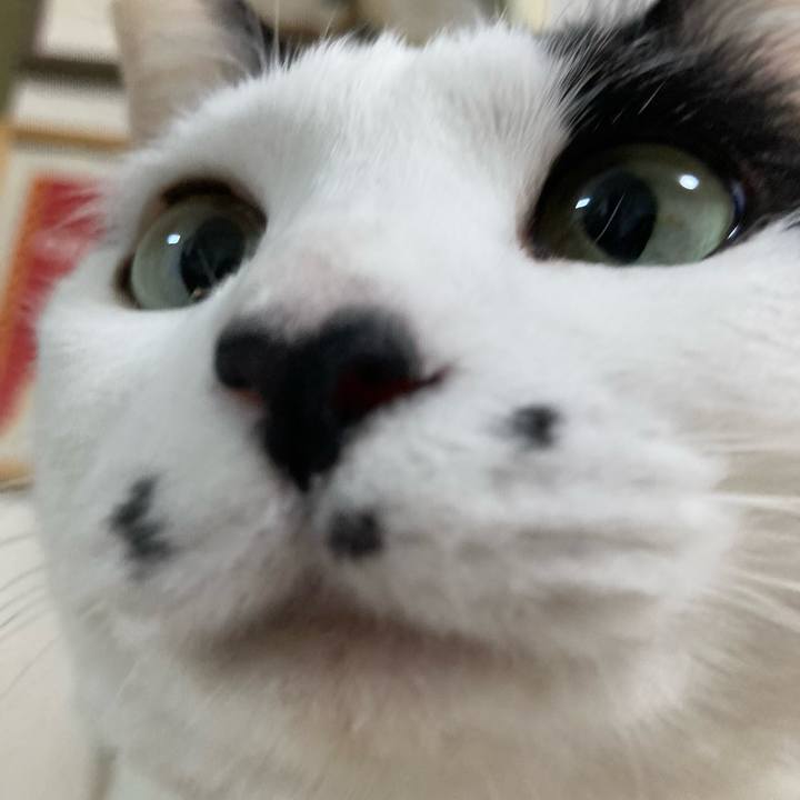 6e18b325 8e2d 448a 8c55 674d087d9f2b 1772976006510