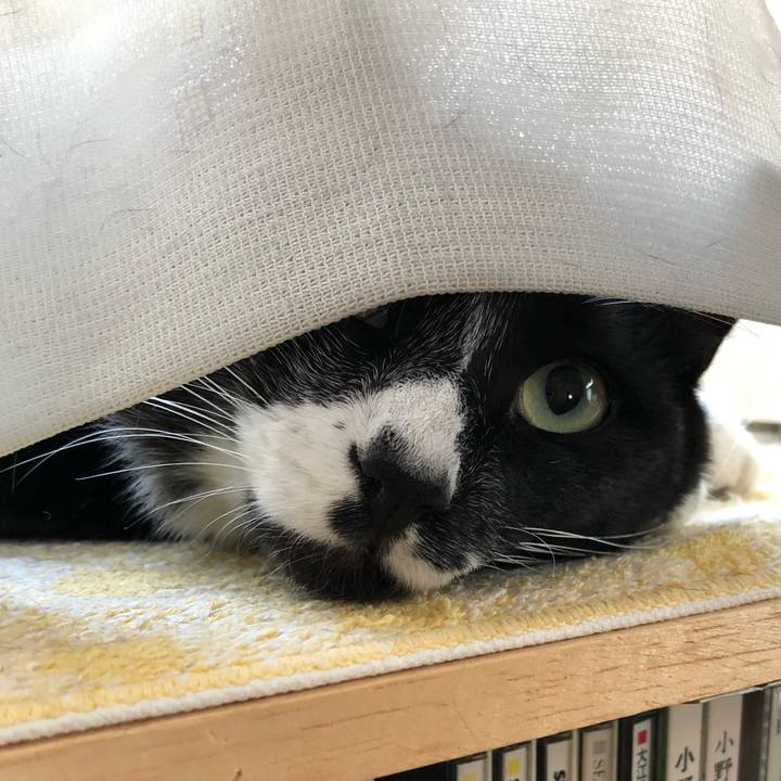 6e18b3b9 1d52 43ef a267 a8df36c4ab99 1525232813122