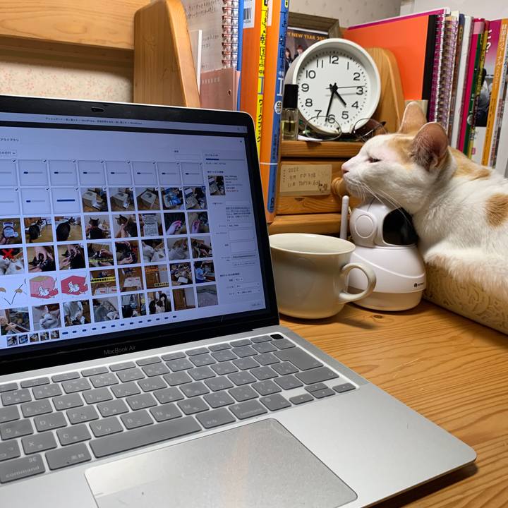 6e18c236 046a 4287 9292 fb60404d1df6 1650661459755