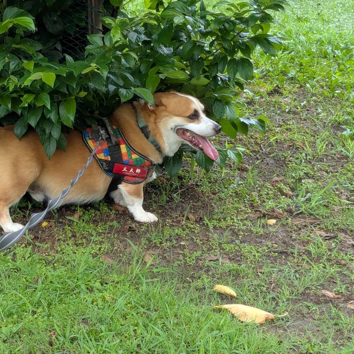 6e18c39d 765b 42e6 a378 399f18c1ead1 1754105850053