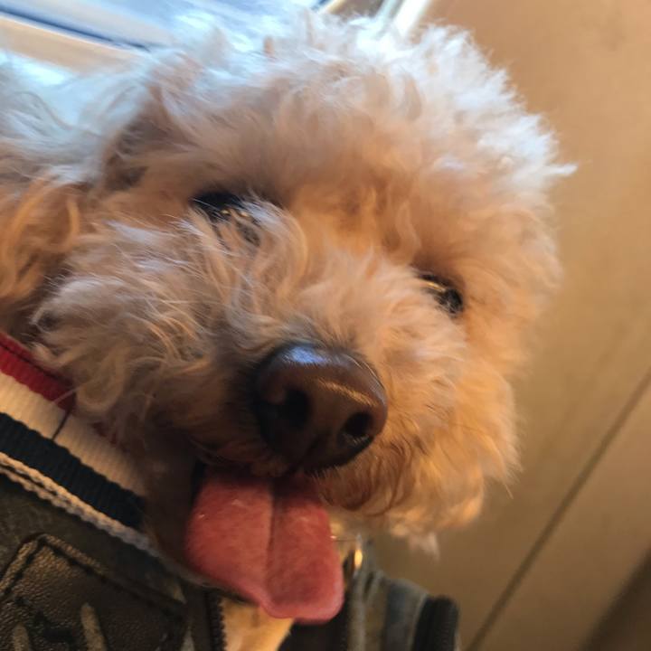 6e18ea23 25ab 43bc 9707 6d5d367b8881 1547705399923