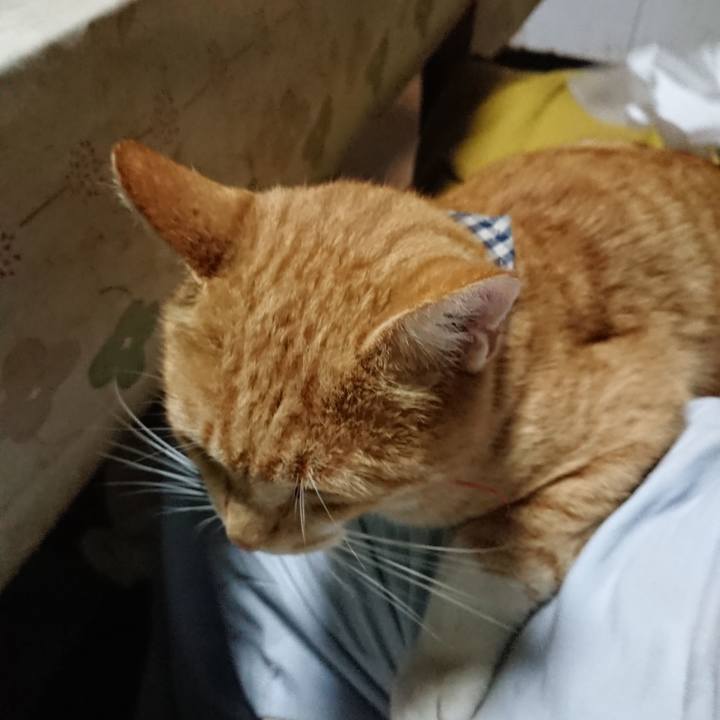 6e190574 51c4 4215 b82c 3ee781abc7d5 1571477201509