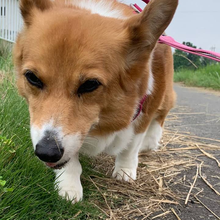 6e19360f 6c9d 437e 8dca a35251e1e9fd 1719701827494