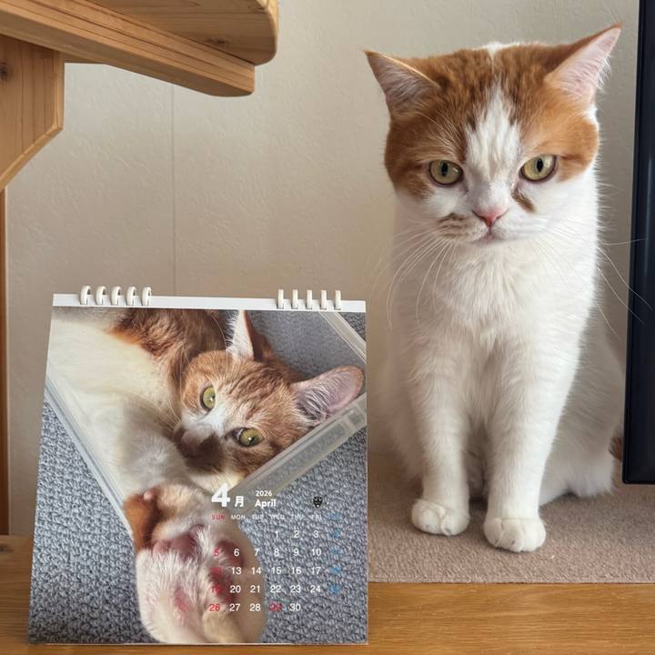 6e194ca4 cc23 4395 afa4 b03f38c64468 1775617416395