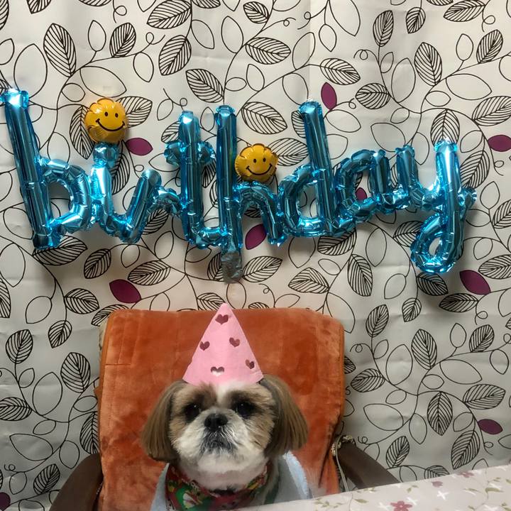 6e19a2fe b740 4848 ad7a fb4cf6274d21 1580026555327