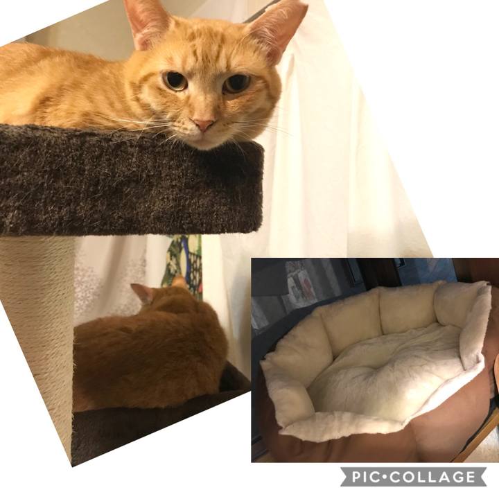 6e19b8f3 ddda 482e b6b2 9a2a546d5655 1596271898093