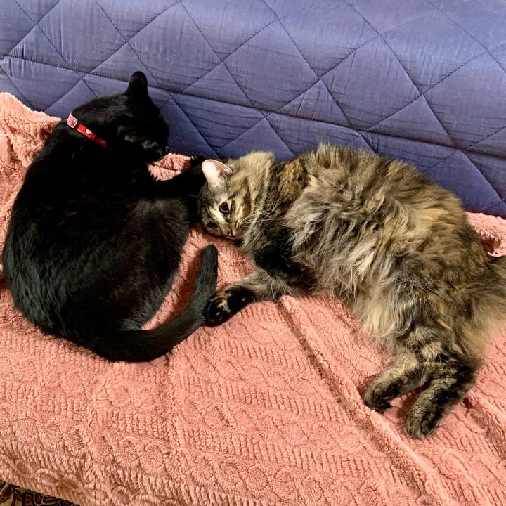 6e19cba8 1429 4327 8b18 a31e19c7b4bb 1676592080607